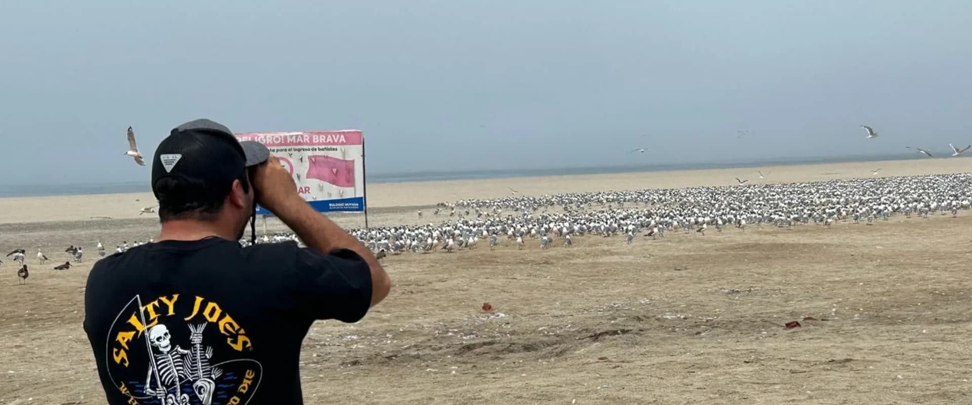 Birdwatching Tour — The Fertility of the Coast