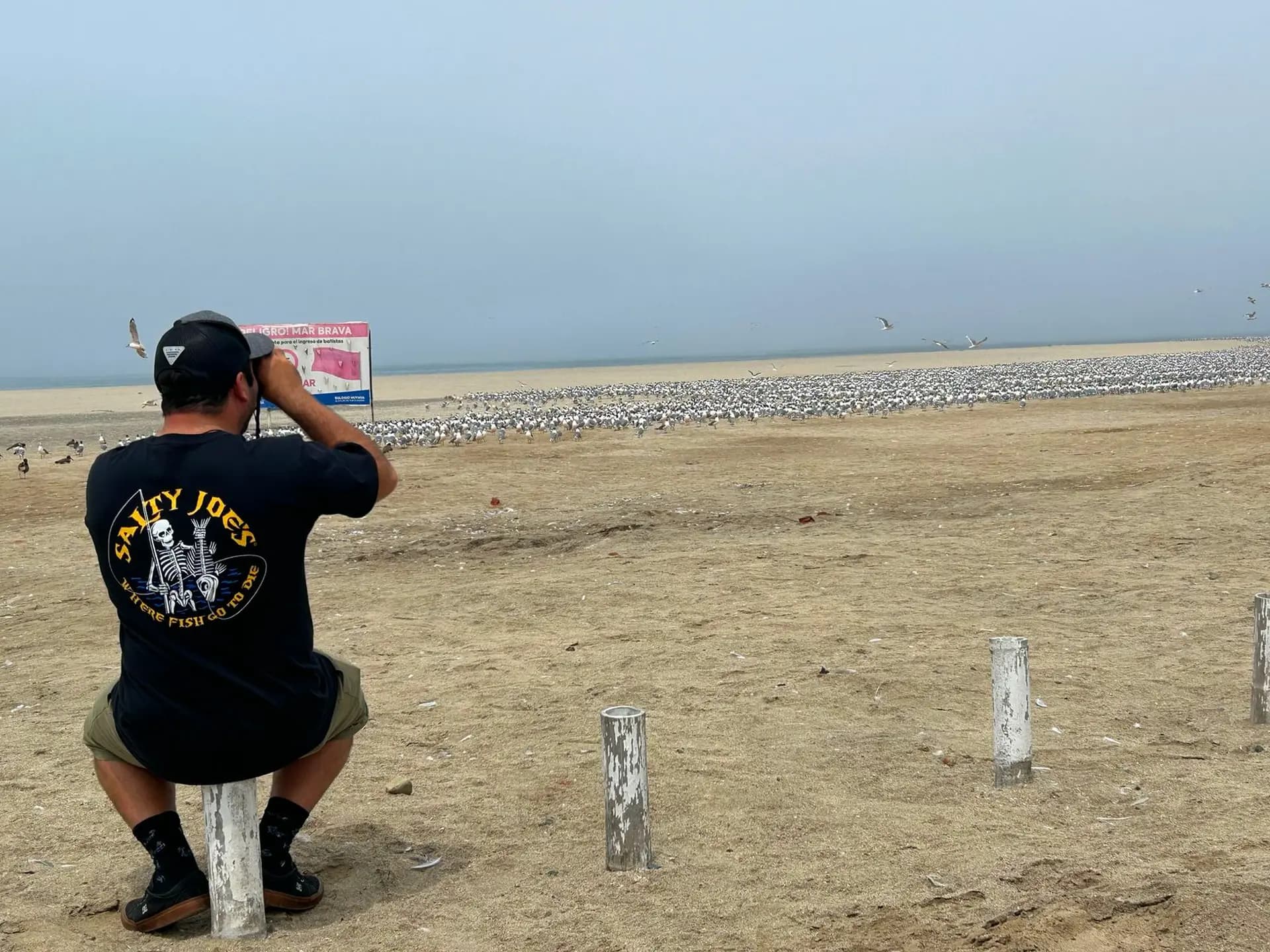 Birdwatching Tour — The Fertility of the Coast