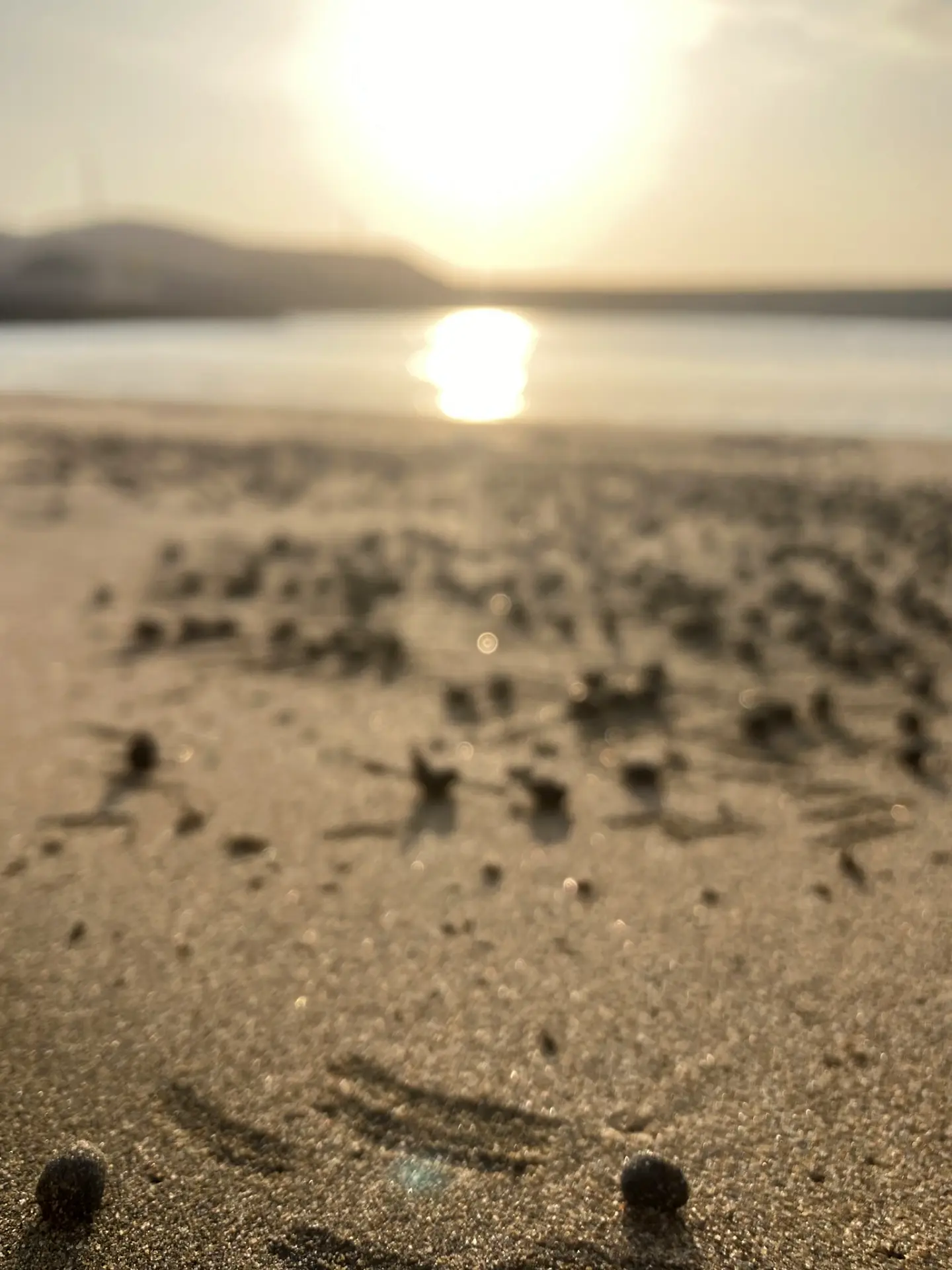 Sea Kayaking in Pucusana — Exploring the Coast from the Sea